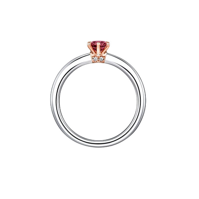 Anel Solitário de Rubi e Diamantes Laterais, Aro Ouro Branco e Caixa 6 Garras Ouro Rosa (ROYALE)
