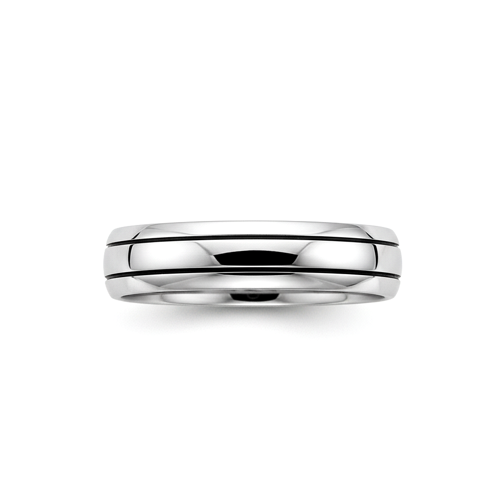 Anel Masculino Ouro Branco Paladinado - FRISSON 5,5 mm